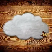 Kids Childrens Baby Nursery Shag Play Accent Rug Cloud Shaped Area Rug 9 COLORS