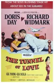 The Tunnel Of Love poster Doris Day Richard Widmark Gia Scala 1958 Old Photo
