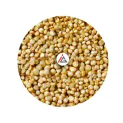 Organic White Quinoa Seeds - 1 kg