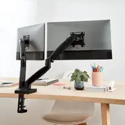 Dual Arm Monitor Mount