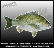 BLACK BREAM - 200mm x 115mm - Boat Decal / Sticker / Tackle box / Esky