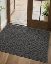 Door Mat Entryway Doormat, Front Door Floor Entry Mat, Non 17"x30" Dark Grey