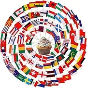 200pcs Mini Countries Toothpick Flags, Mini Flags on Sticks with 100 Different Nations Double Sided World Countries Cupcake Toppers for Cupcake Dishes Fruit Platter Decoration