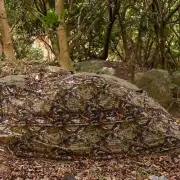 Tree Bionic Camouflage Net Mesh Courtyard Covered Camping Realistic Coverage