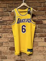 Lebron James #6 Lakers Icon Edition Nike NBA Authentic Dri-Fit ADV Jersey 44 M