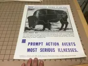 14x17" PNI Pictorial News of the Day Poster - BION TENNIAL BEEF- JAN 28 -1976