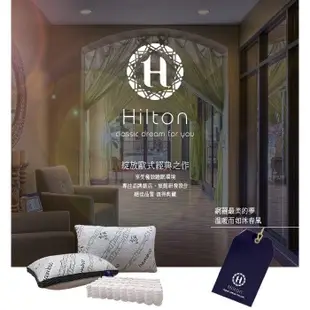【Hilton 希爾頓】 五星級酒店 3D 透氣天然竹炭枕(B0092-X)