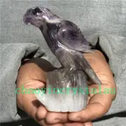 0.3LB Natural Dreamy Amethyst parrot Skull Quartz Crystal Carved Reiki XK1424
