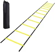 Agility Training Ladder, Pro Agility Ladder,Speed Training Equipment,12 Rungs Agility Ladder Set,Coordination Speed Ladder, for Soccer, Speed,Fitness,Feet Training