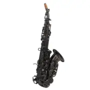 Pro Eastern Music shiny black plated curved soprano saxophone with engravings