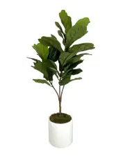 Creative Displays Fiddle Leaf Tree