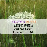 在飛比找蝦皮購物優惠-AROMARUTH胡蘿蔔籽精油 Carrot Seed Oi
