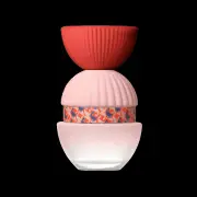 El Ganso Fun & Chic EDP, 100ml