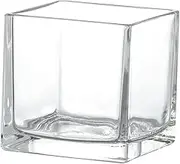 Decorative Vase Square Glass 15x15cm Cube Glass Planter for Home Office Decorations