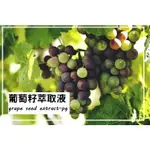 【露西皂材】葡萄籽萃取液 GRAPE SEED EXTRACT-PG