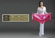 Coins Belt Women Belly Dance Costumes Accessories Sequin Tassel Hip Scarf