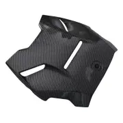 Epic Hood Panel for Can-Am Ryker, Carbon Fiber Color Style