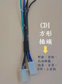 在飛比找Yahoo!奇摩拍賣優惠-CDI插頭 CDI接頭 *方型* (直插免轉接)野狼雲豹小雲