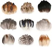 270Pcs 9 Styles Natural Bulk Feathers Assorted Mixed Feathers for DIY Crafts Dre