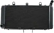 Rynplex Motorcycle Engine Radiator Cooler Cooling System, for CB1300 CB 1300 2003-2008 2004 2005 2006 2007 Black Motorcycle Engine Radiator