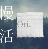 在飛比找遠傳friDay購物優惠-QTACE 心舒淨羽絨被-ORI 慢活款 / 雙人