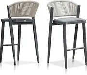 Purple Leaf Barstool (Grey, Modern Bar Height Stool)