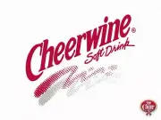 CHEERWINE SOFT DRINK 100 YRS HEAVY DUTY USA MADE METAL SODA POP ADVERTISING SIGN
