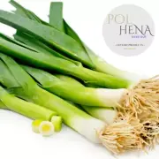 Leeks Slices 1 oz Dried Leek Food For Soups Stews Natural Organic Vegetables