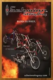 2005 Schwinn Sting Ray Bicycles Print Ad/Poster Authentic Retro Kids Bike Art