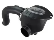 aFe for Momentum Pro DRY S Intake System BMW 528i/ix (F10) 12-15 L4-2.0L (t) N20 (for: BMW)
