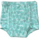 New Toddler Hanna Andersson Organic Cotton Training Unders 100/110 Small