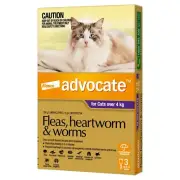 Advocate Flea & Worm Control for Cats over 4kg - 3 Pack
