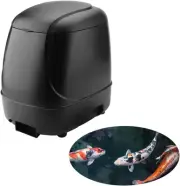 10L Automatic Fish Feeder, Pond Fish Feeder, Outdoor Fish Food Dispenser, Lar...