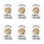 6x Splosh Pet Lovers Labradoodle 7cm Acrylic Magnet Home Fridge Decor White