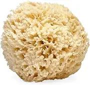 LATHER Natural Sea Wool Sponge 4-6” - Gentle Exfoliating Loofah for Invigorating Spa Experience - Natural Bath Sponge Varies in Size & Shape - Organic Loofah