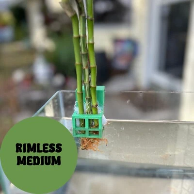 Medium Aquarium Pothos Plant Holder for Rimless Fish Tanks 3D Printed