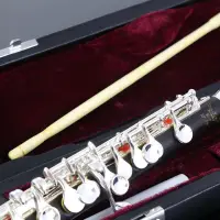 在飛比找露天拍賣優惠-【爆款15】德國ROFFEE 短笛樂器Piccolo 烏木管