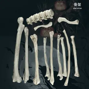 萬聖節 骷髏骨架包 (28片) 骷髏頭 骨頭 散骨 白骨 人體模型 擺件 密室逃脫 鬼屋布置【塔克】
