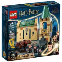 在飛比找樂天市場購物網優惠-LEGO 樂高 Harry Potter-遇見三頭犬毛毛 7