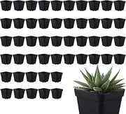 Seedling Starter Pots | 50x Transplant Pots with Drainage Holes - Germination Trays, Microgreenings Planter for Indoor and Outdoor
