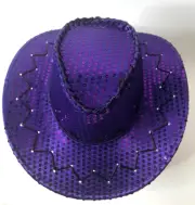 Light Up Cowgirl Hat Sequin Party Flashing Blinking Dance Party Cowboy Halloween