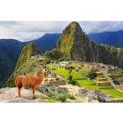 Save 5.00%! Excursion to MachuPicchu from Cusco with lunch | Private Service|