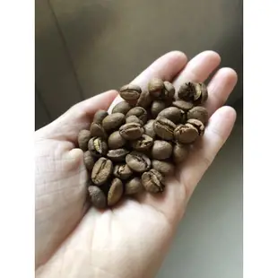 台南東山阿拉比卡淺培咖啡豆