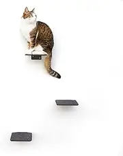 LucyBalu® Steps XL Cat Stairs Wall Indoor Outdoor Set of 3 Cat Climbing Wall Park for Cats up to 10 kg Cat Ladder Non-Slip Coating 3 Steps Wall Mounting 24 x 20 cm Anthracite