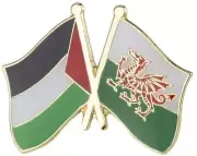 Palestine Palestinian Wales Welsh United Kingdom National Flag Crossed Flags Pin