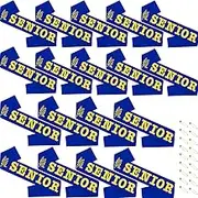 SKJIAYEE 18 Pack Class of 2026 Senior Sashes, Royal Blue Satin Finally Graduated Sash with Gold Printing Letters Cheerleader Senior Sashes for Class of 2026 Graduation Party Celebrations Supplies