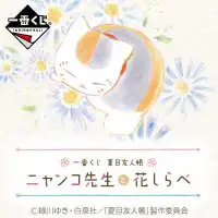 在飛比找有閑購物優惠-【一番賞線上抽】代理版 夏目友人帳-與貓咪老師一起識花