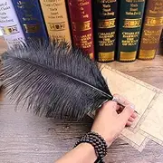 OPENDGO Ostrich Feather Ballpoint Pen, Black Ink Writing Quill Pen for Wedding Gift Office School Supplies Signature Pen Birthday Party Gift (Black)