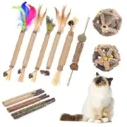 Cat Chew Toys, 12 Pack Silvervine Chew Sticks with 2 Pack Cage Balls for