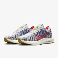 在飛比找momo購物網優惠-【NIKE 耐吉】慢跑鞋 運動鞋 W PEGASUS TUR